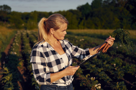 Standing with notepad and holding carrots. Woman is on the agricultural field at daytime.の写真素材