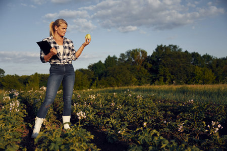 Quality control. WIth notepad and cabbage. Woman is on the agricultural field at daytime.