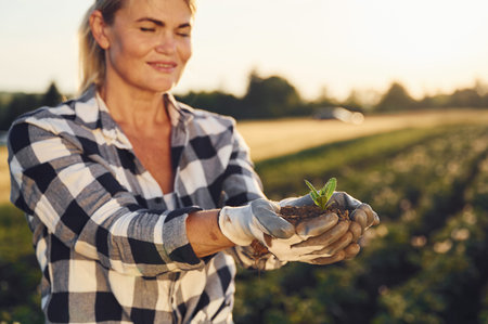 Artichoke is in hands. Woman is on the agricultural field at daytime.