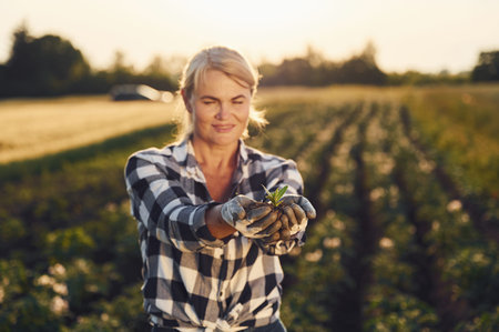 Artichoke is in hands. Woman is on the agricultural field at daytime.