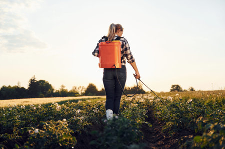 Using equipment for sprinkle potatoes. Woman is on the agricultural field at daytime.の写真素材
