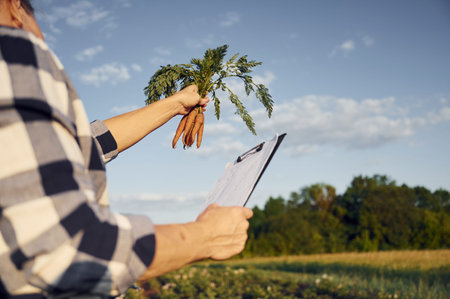 Document with information and carrots in hand. Woman is on the agricultural field at daytime.