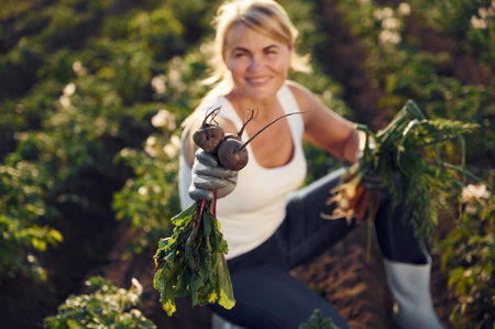Onions, beetroots and carrots is in the hands. Woman is on the agricultural field at daytime.の写真素材