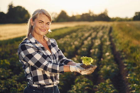 Cauliflower in the hands. Woman is on the agricultural field at daytime.
