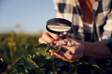 Using magnifying glass. Woman is on the agricultural field at daytime.