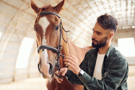 Close up view. Touching the animal. Young man with a horse is in the hangar.