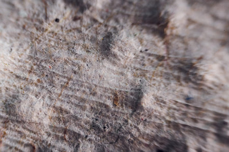 Paper sheet under the microscope. Close up view.