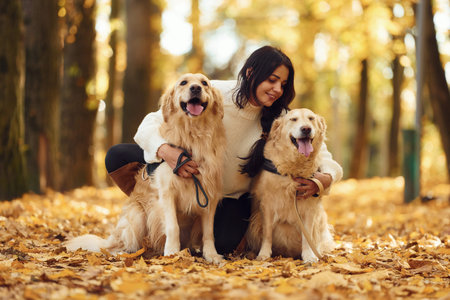 Sitting on the ground and embracing the animals. Woman on the walk with her two dogs in the autumn...