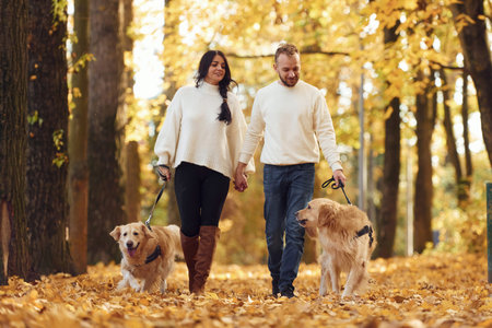 Front view. Lovely couple are on the walk in autumn park with two dogs.