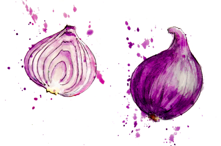 Watercolor painted vegetables. Hand drawn fresh food design elements isolated on white background. Sketch with color splashes. Red onionの写真素材