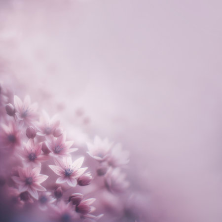 flower on soft pastel color in blur styleの写真素材