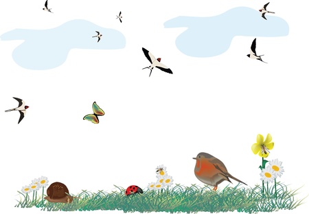 spring landscapeのイラスト素材