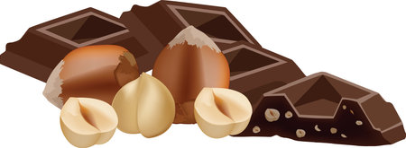 chocolate with hazelnutsのイラスト素材