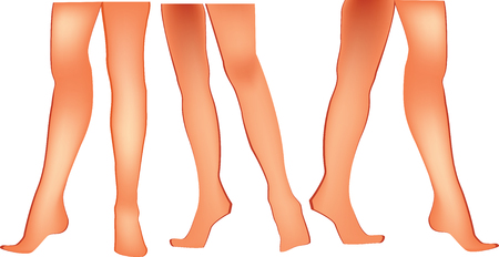female legsのイラスト素材
