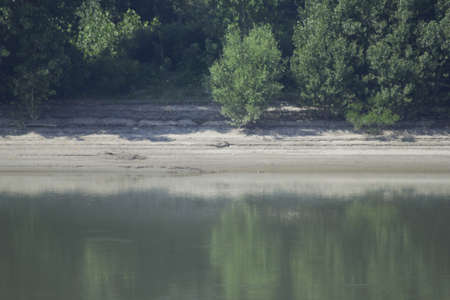 Po river with boatsの写真素材