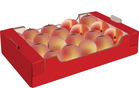 red cardboard box with fruitのイラスト素材