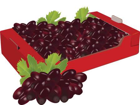 red cardboard box with fruitのイラスト素材