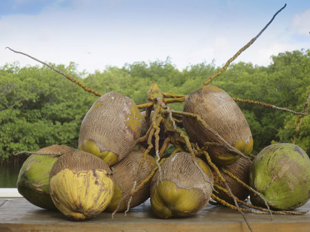 Exotic fruits coconuts
