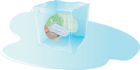 ice cube with inside human brain