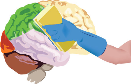 female hand with a sponge cleans the human brain