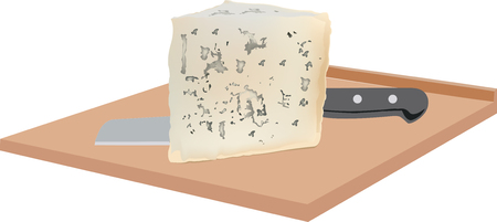 soft gorgonzola cheese with mold on boardのイラスト素材