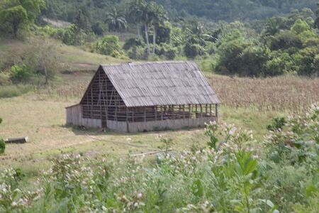 shed to dry tobaccoの写真素材