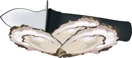 Open seafood oysters with lemonのイラスト素材