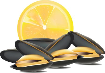 Open seafood mussels with lemonのイラスト素材