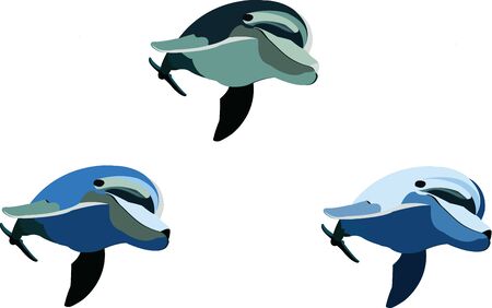 series of dolphins to draw and buildのイラスト素材