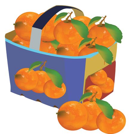 fruit basket for transport with cardboard handleのイラスト素材