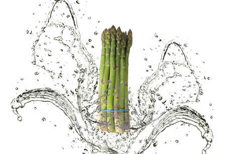 green asparagus with long stemの写真素材