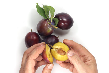 black plums grand prix Italy for jamの写真素材