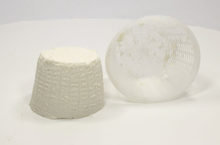small buffalo ricotta cheese with tray