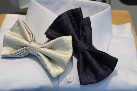 butterfly tie and men's shirtの写真素材