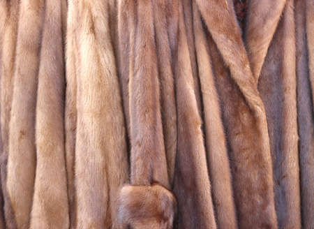 exhibition and sale of women's fursの写真素材