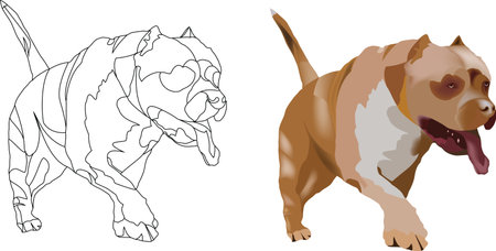 Pitbull terrier guard dog and self-defenseのイラスト素材