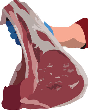 piece of rib eye steak in handのイラスト素材