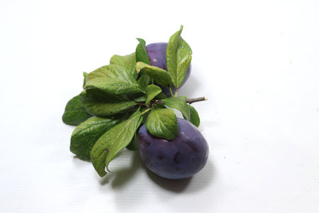 large seasonal plums and black ovalsの写真素材