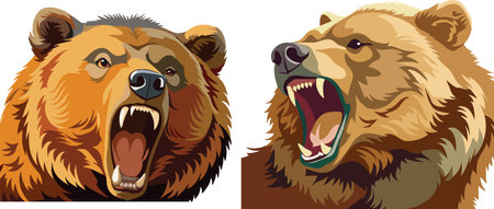 Vector graphics set depicting two aggressive brown bears roaringのイラスト素材