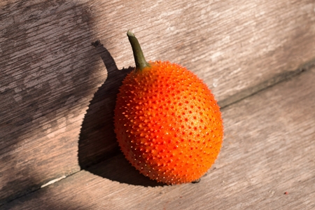 Fruit of the Asian region. The spiny nature is fresh. The ball is green. The harvest will be orange red. Bring a picture of fruit juice is sweet to the politeの写真素材