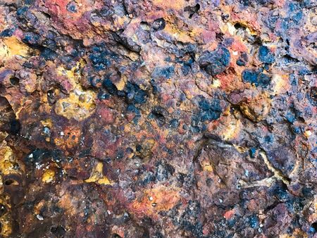 Surface made of stone, plants, plants that look natural, the color of red, yellow, green, beautiful brown.の写真素材