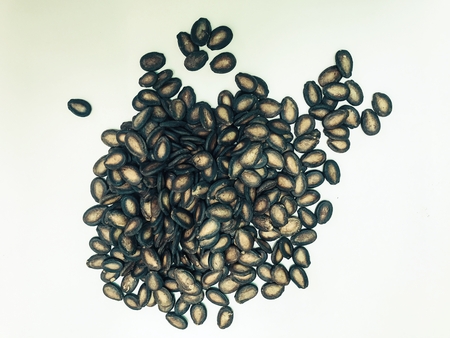 The dried watermelon seeds are polite and are good for the body. Eat or cookの写真素材