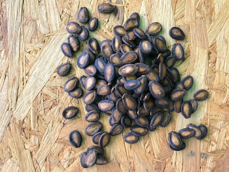 The dried watermelon seeds are polite and are good for the body. Eat or cookの写真素材