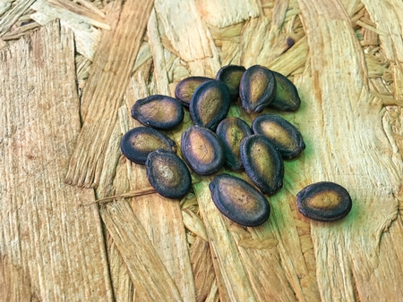 The dried watermelon seeds are polite and are good for the body. Eat or cookの写真素材