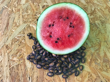 The dried watermelon seeds are polite and are good for the body. Eat or cookの写真素材