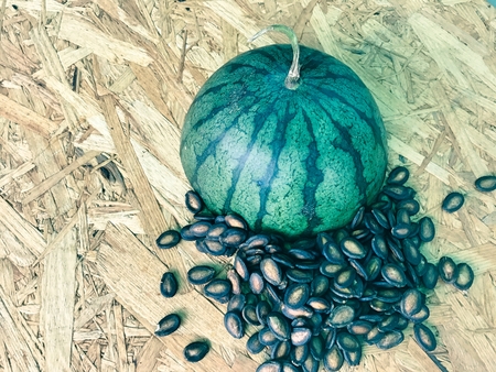 The dried watermelon seeds are polite and are good for the body. Eat or cookの写真素材