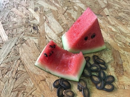 The dried watermelon seeds are polite and are good for the body. Eat or cookの写真素材