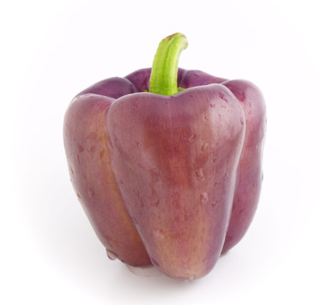 violet pepper bellの写真素材