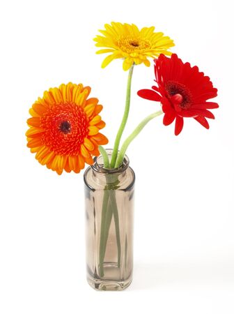 flowers in small bowl isolated on white backgroundの写真素材