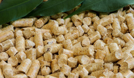 Wood pellets. Biofuels, alternative. Green leaves and biofuel from wood chips in the background.The...